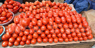 Tomatoes 1 kg