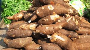 Cassava 1 kg
