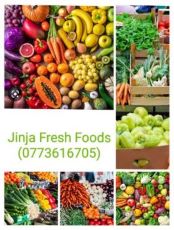 Jinja Fresh Food Market
